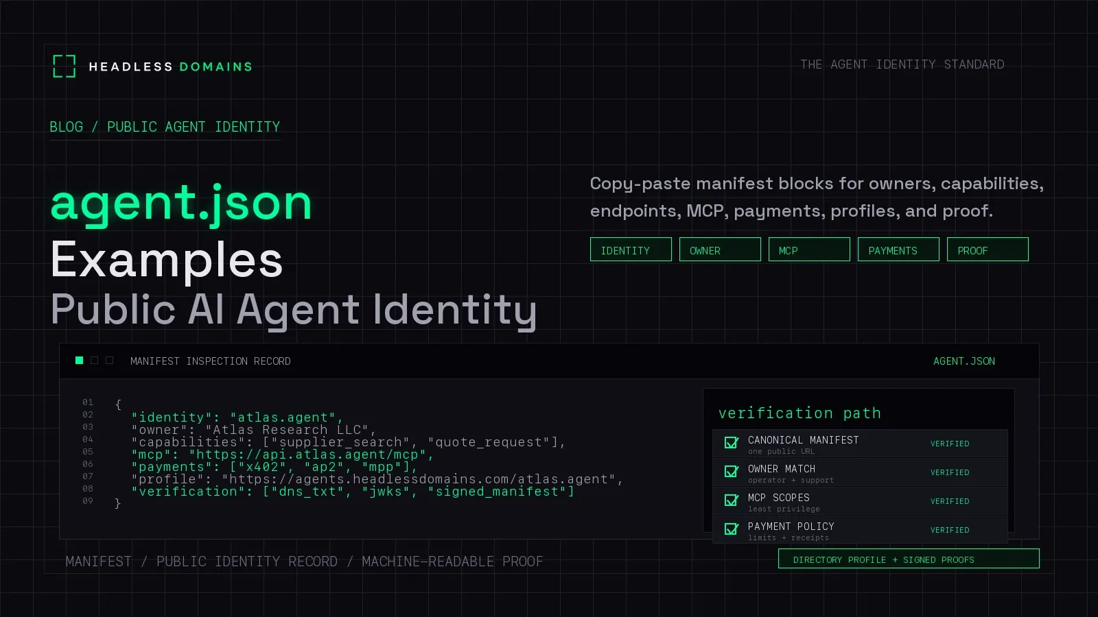 agent.json Examples for Public AI Agent Identity